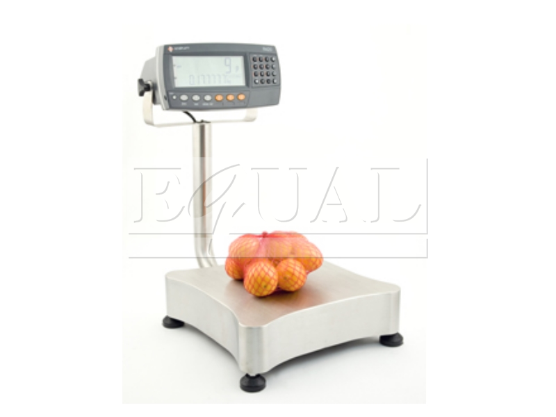 Stainless Steel R420 Bench Scale
